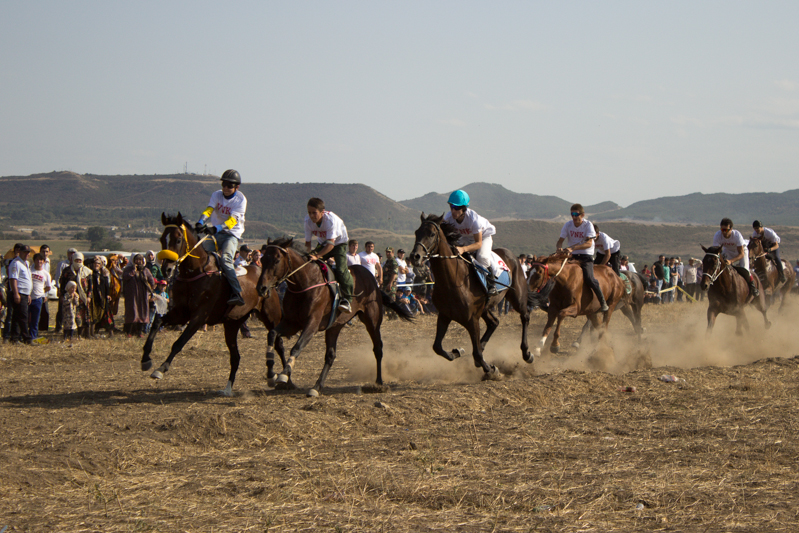 Ко Дню единства народов Дагестана в Карабудахкентском районе прошли скачки и другие спортивные соревнования